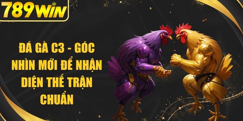 Đá Gà C3