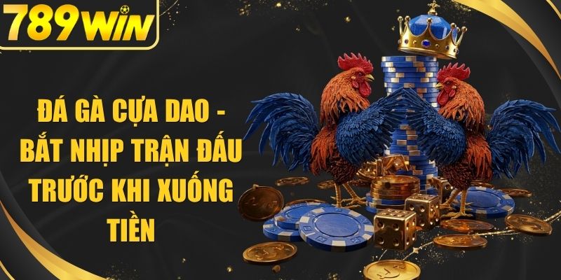 Đá Gà Cựa Dao